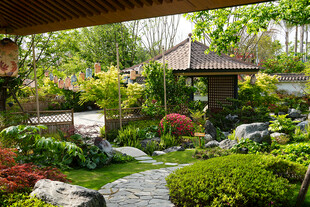 日式庭院景观 静谧雅致