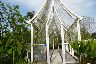 白色凉亭立于绿植环绕间