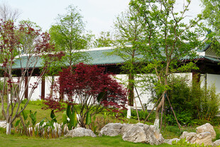 湖畔园林景观