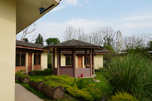 中式庭院小屋 绿植环绕