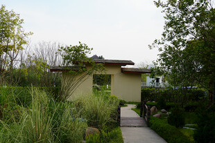 田园风小屋旁的绿植小径