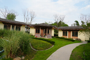 田园风庭院住宅景观