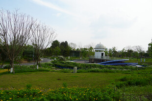 田园风光中的静谧小屋