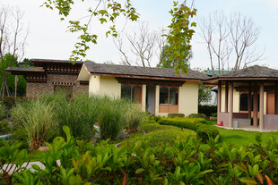 现代风格住宅与绿植景观