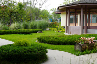 精致庭院景观设计