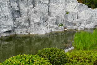 山水石景中的绿意景致