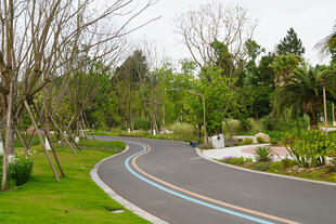 蜿蜒林间的美丽骑行道路