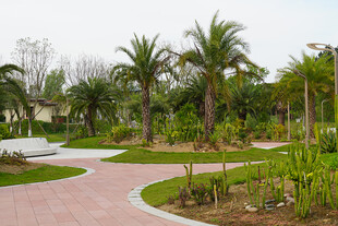 公园蜿蜒小径与绿植景观