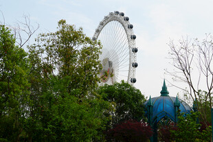 绿树环绕中的摩天轮景观