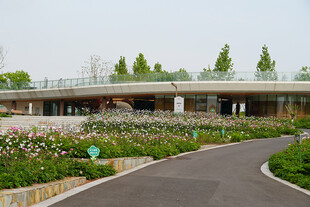 花园式建筑景观之路