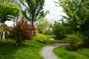 美丽花园小径 绿植繁花相伴