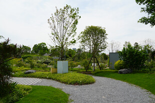 宁静优美的园林景观小径