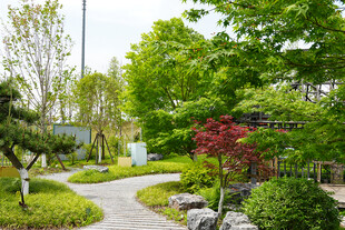 精致园林景观 绿意盎然