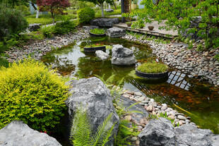 日式庭院池塘景观