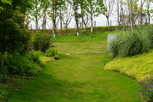 绿意盎然的户外花园景观