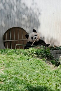 田园小屋旁的静谧景象
