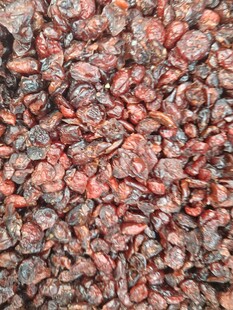 蔓越莓干特写