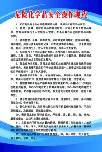 系统功能说明文档内容展示