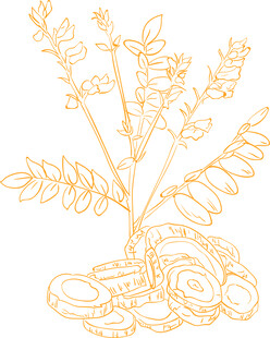 金色线条勾勒的植物图案