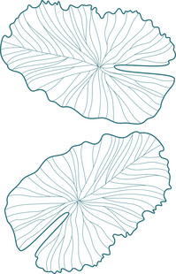 简约线条荷叶图案