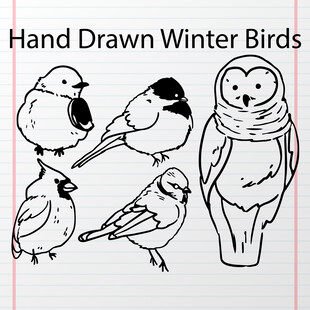 手绘冬季鸟类简笔画