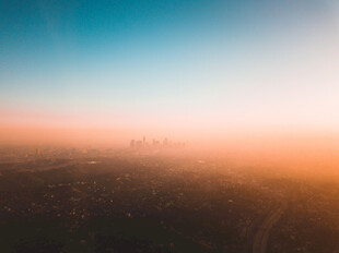 日出时分的广阔原野