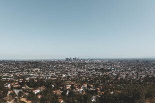 俯瞰城市景观与绿植