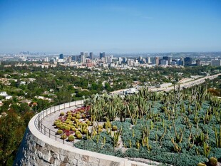 俯瞰城市与绿植景观