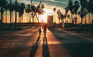 夕阳下情侣漫步于棕榈旁