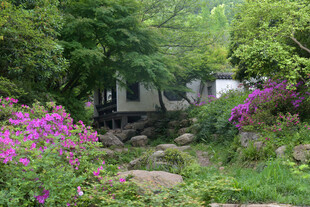 繁花簇拥的静谧林间小屋
