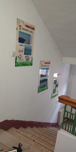 楼梯间墙面装饰展示