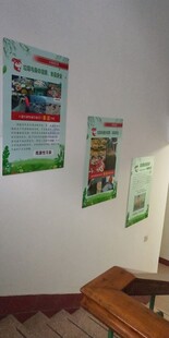 墙上展示的宣传海报