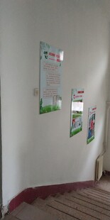 室内墙面张贴的宣传海报