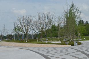 城市公园开阔景观步道