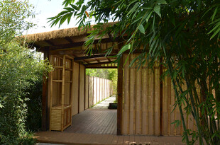 木质凉亭隐于绿植间