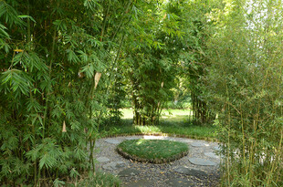 林间静谧花园小径