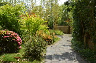 幽静花园小径 绿植繁花