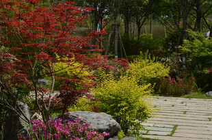 多彩花园小径风景
