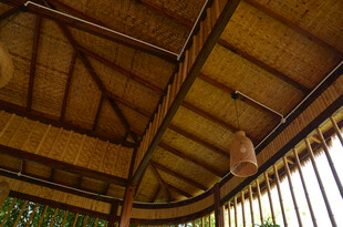 木质屋顶下的自然景致