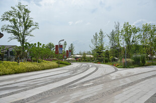 蜿蜒道路旁的绿意景观