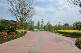 美丽公园中的蜿蜒步道