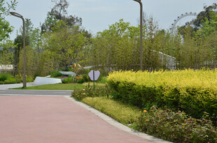城市公园中的多彩景观步道