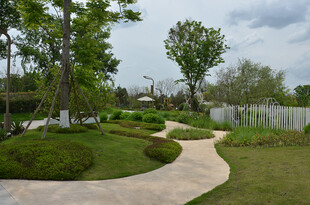 蜿蜒小径旁的清新园林景观