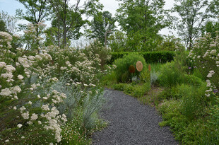 漫步于繁花小径的惬意