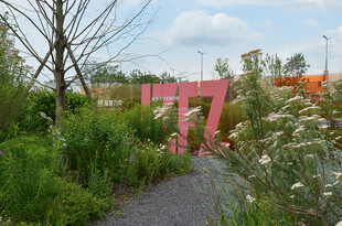 粉色拱门旁的绿植小径