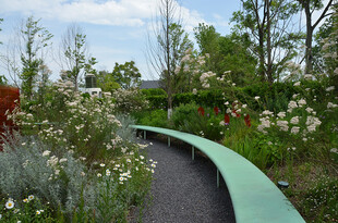 绿色步道旁的缤纷花卉景观