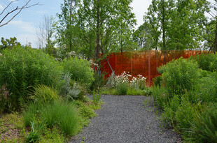 林间小径旁的绿植与红墙