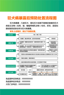 狂犬病暴露后预防处置流程图