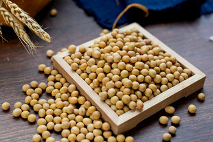 健康食材大豆高清