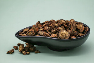 草药丹参高清摄影